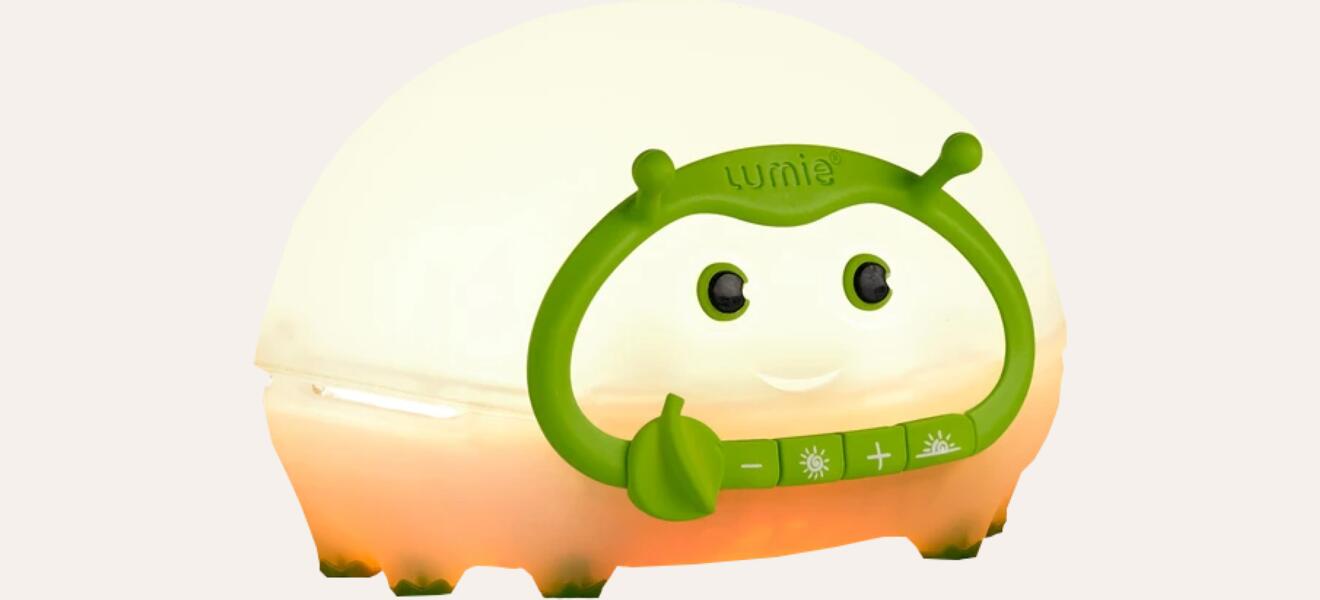 Bedbug photo
